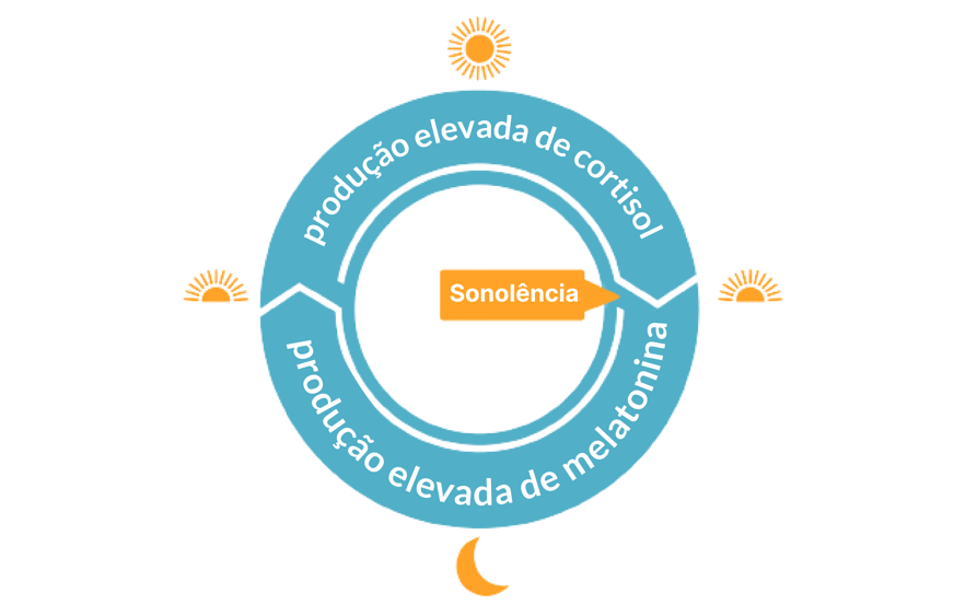 Desenho do ciclo circadiano indicando a produção de cortisol durante o dia, a sonolência ao final do dia e a produção de melatonina durante a noite.